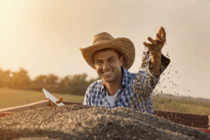 Retrospectiva 2024: como foi o desempenho do agronegócio?
