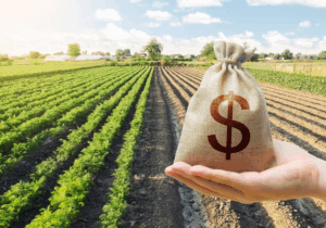 Pronaf e Pronamp: diferencie as linhas de crédito e ajude seus clientes a crescer no campo