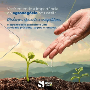 Você entende a importância do Agronegócio no Brasil?