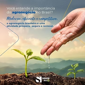 Você entende a importância do Agronegócio no Brasil?